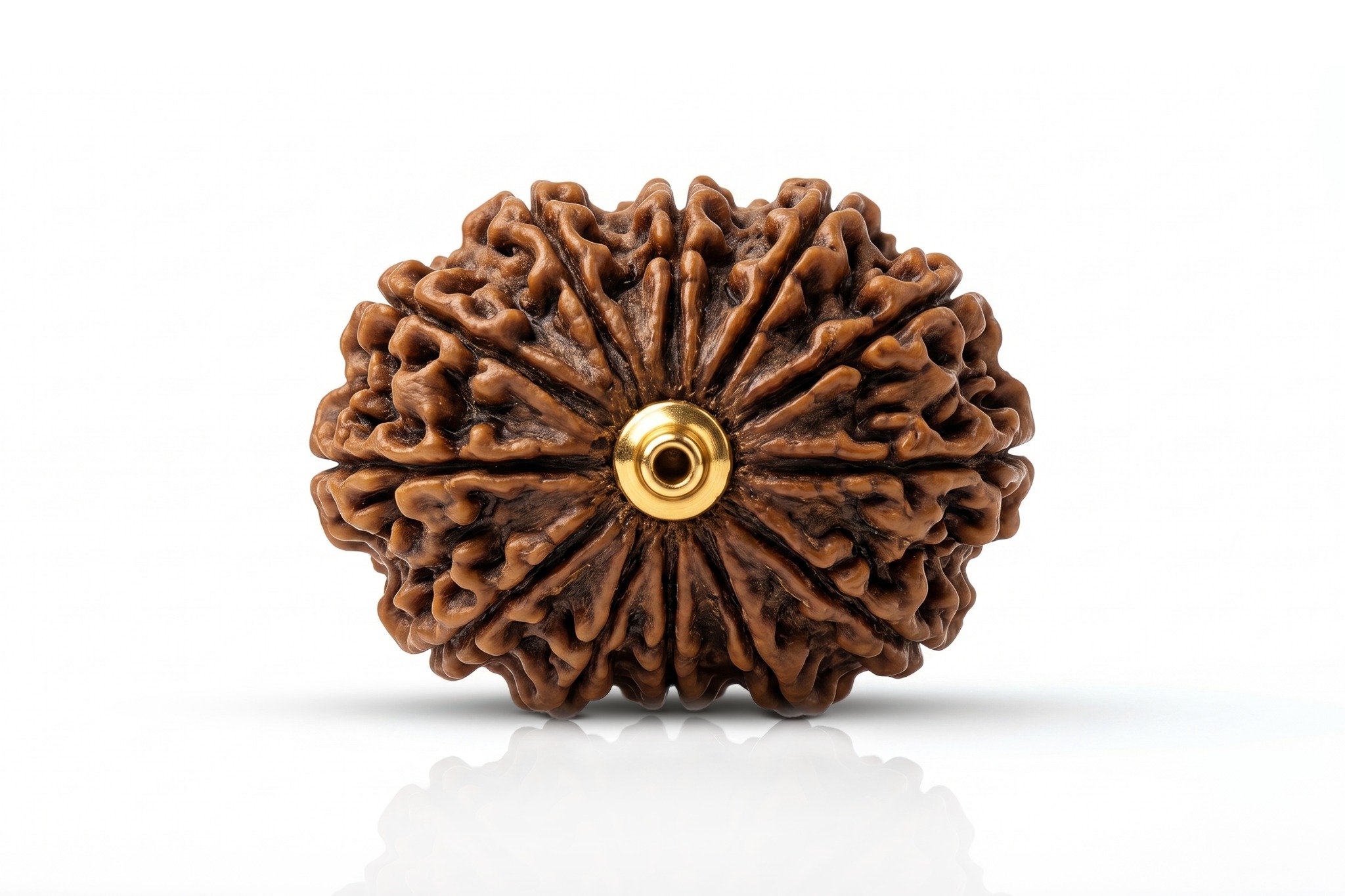 Rudraksha category - Rudraa Ratna