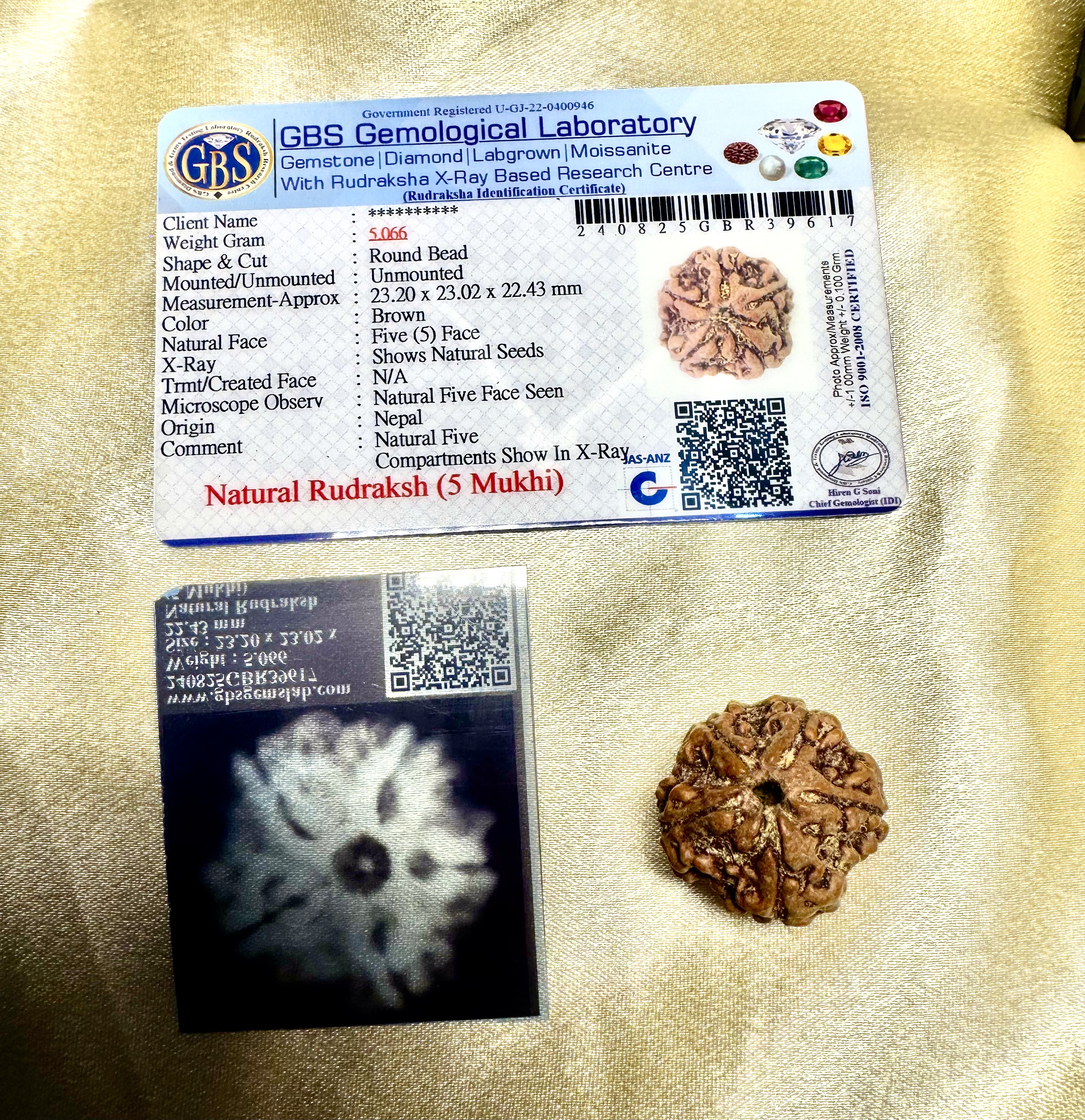 5 Mukhi Nepali Rudraksha - Rudraksha - Rudraa Ratna