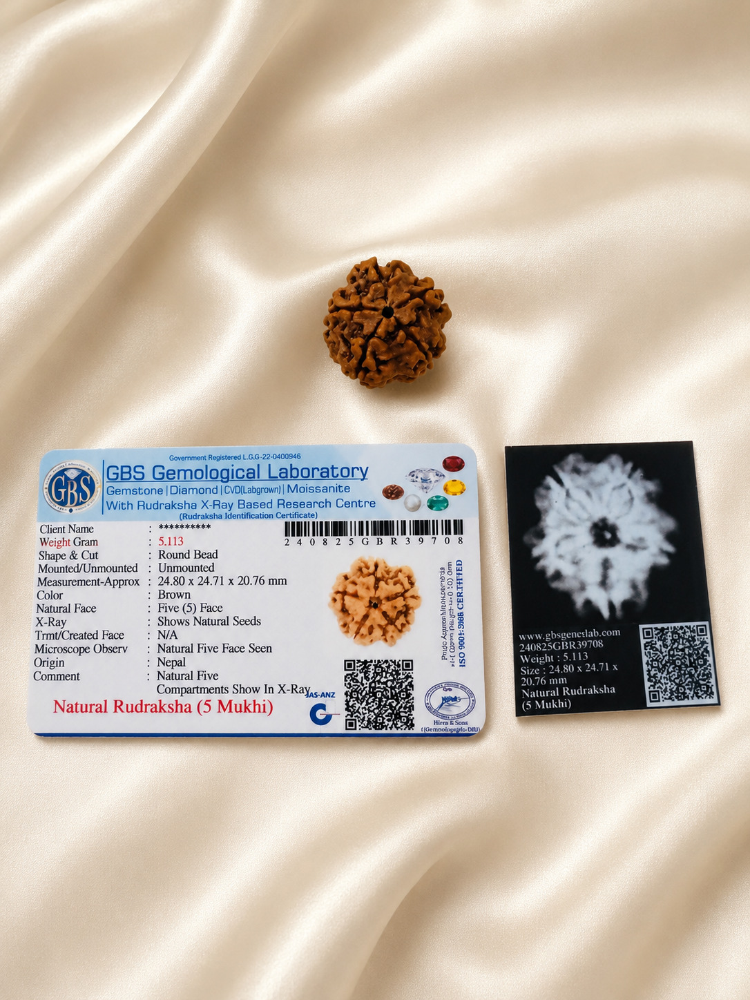 5 Mukhi Nepali Rudraksha thumbnail 2