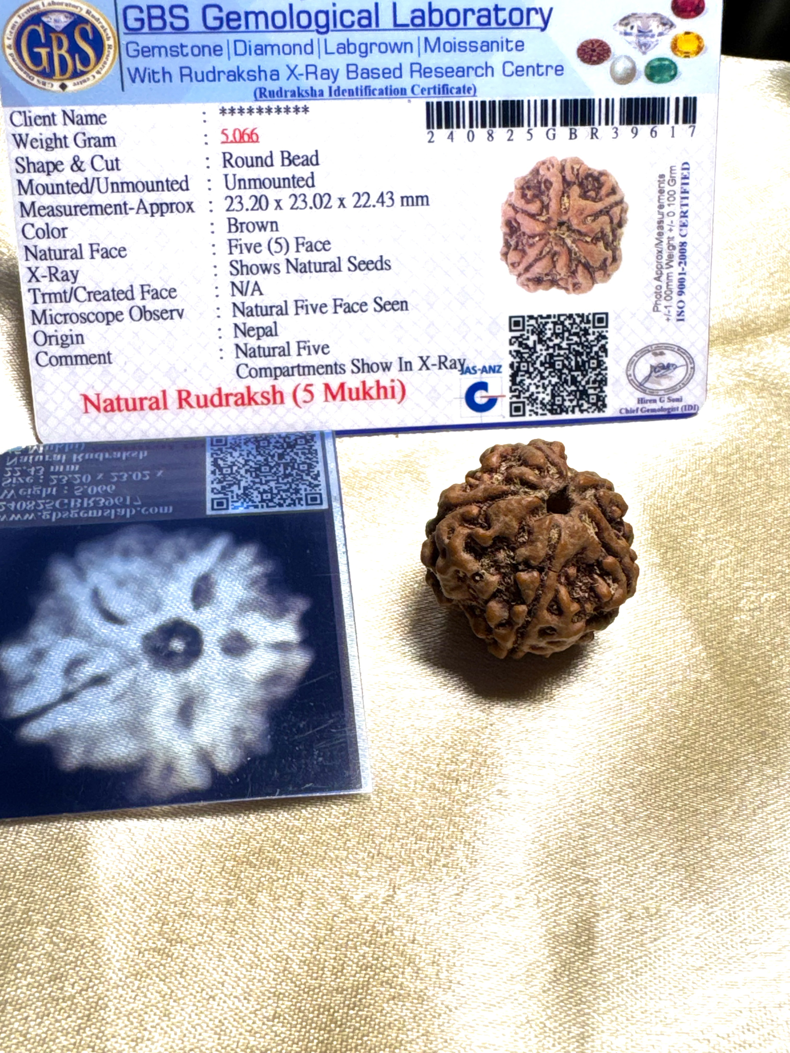 5 Mukhi Nepali Rudraksha thumbnail 4